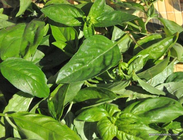  basil leaves
