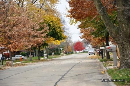 fall colors