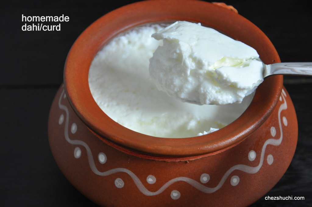 homemade curd/dahi