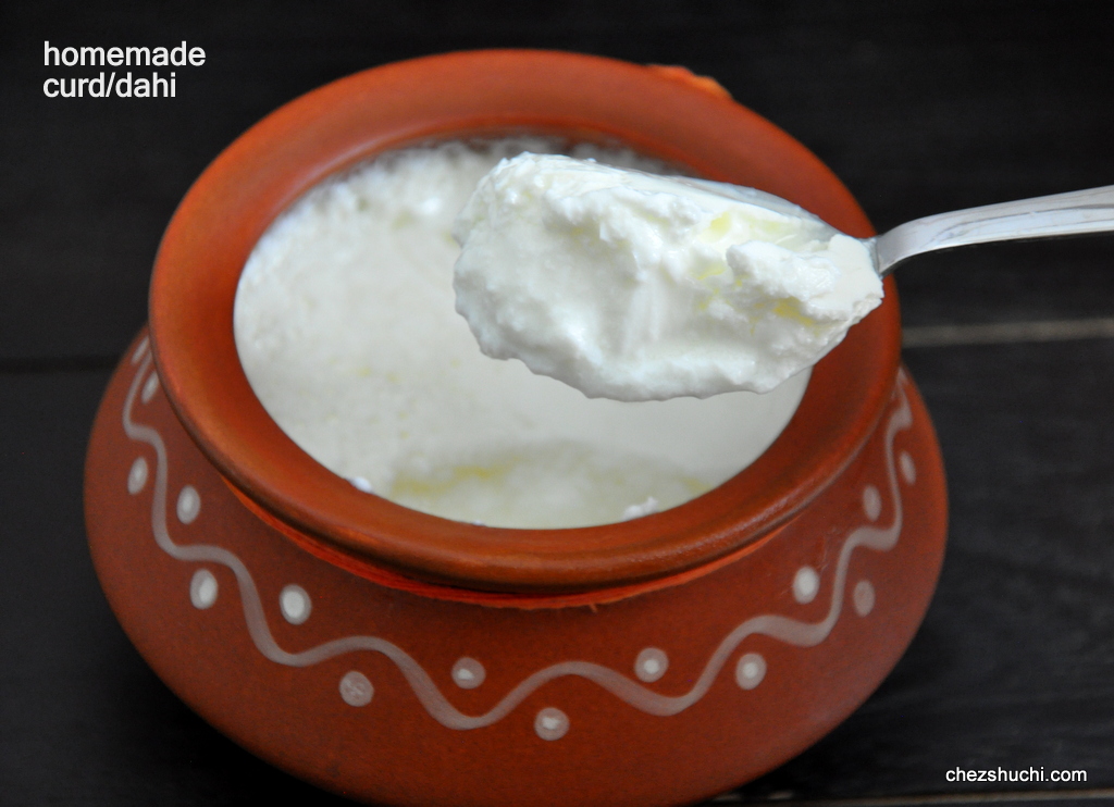 homemade yogurt/dahi