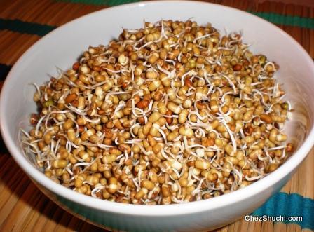 moat sprouts 